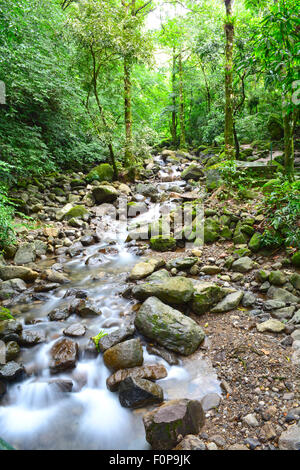 Piccolo fiume letto nella lussureggiante foresta pluviale di Panama con otturatore lento che mostra il flusso dell'acqua Foto Stock