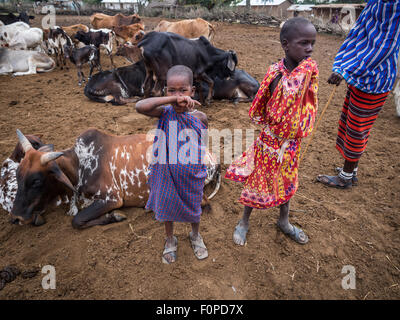 I bambini con i loro capi di bestiame in Maasai boma (paese) in Tanzania, Africa. Foto Stock