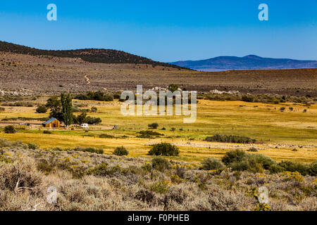 Un sheepherder e il suo gregge sulle rive del lago Mono in Eastern Sierra Nevada Foto Stock