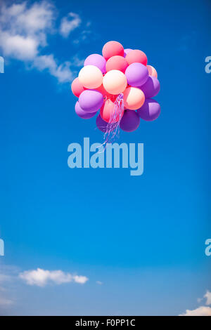 Mazzetto di viola e rosa palloncini nel cielo Foto Stock