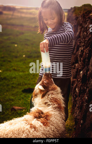 Un bambino alimentazione di un agnello da una bottiglia Foto Stock