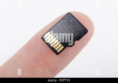 Supporti flash SD card nel canto isolato su sfondo bianco Foto Stock