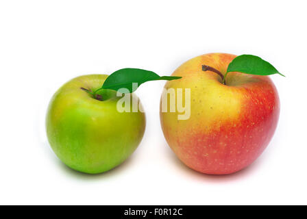 Bella isolato rosso e verde mela con una foglia su sfondo bianco Foto Stock