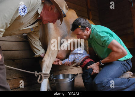 Uomo con baby in quanto essi sono in mungere le mucche di dimostrazione in Churchill Island Heritage Farm, Victoria, Australia. Foto Stock