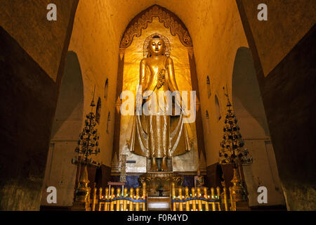 Standing Budda dorati, statua del Buddha, Tempio di Ananda, Bagan, Mandalay Division, Myanmar Foto Stock