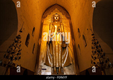 Standing Budda dorati, statua del Buddha, Tempio di Ananda, Bagan, Mandalay Division, Myanmar Foto Stock