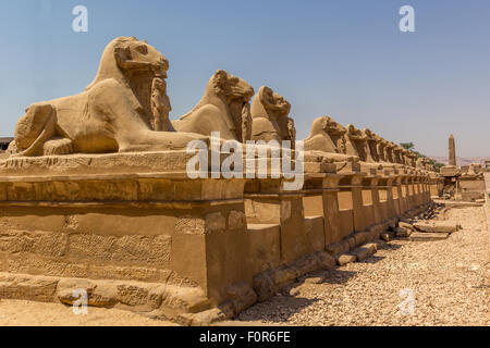 Una vista orizzontale del viale della ram-guidato sfingi. Tempio di Karnak. Luxor, Egitto Foto Stock
