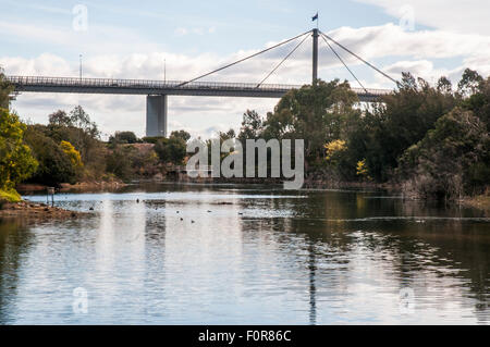 Westgate Bridge visto da Westgate Park, che è stato creato al di fuori di un rifiuti industriali a Fishermans piegare, Melbourne Foto Stock