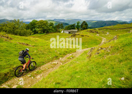 Femmina mountain biker vicino a bassa Arnside nel distretto del lago con The Langdale Pikes sullo skyline Foto Stock