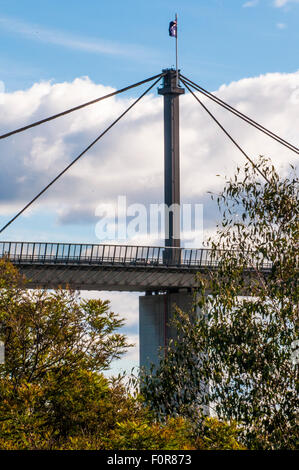 Westgate Bridge visto da Westgate Park, che è stato creato al di fuori di un rifiuti industriali a Fishermans piegare, Melbourne Foto Stock