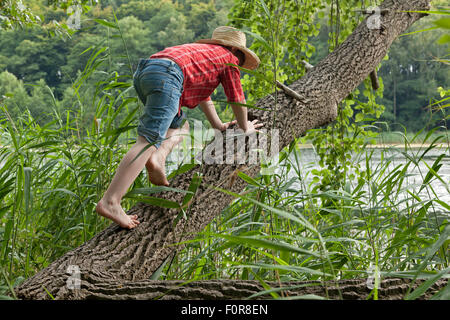 Ragazzo giovane vestito come Huckleberry Finn sale su un albero Foto Stock