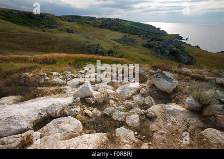 Steppa paesaggi di Bagerova a Azov Seashore., Bagerova steppa, penisola di Kerch, Crimea, Ucraina, Luglio 2009 Foto Stock