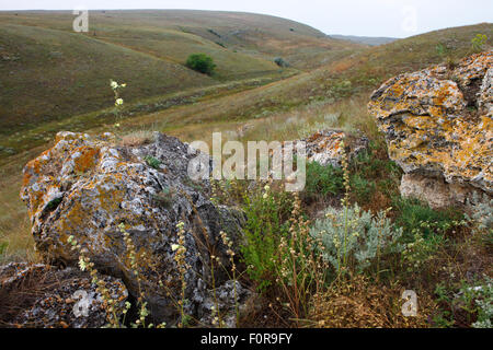 Rocce Bagerova steppa, penisola di Kerch, Crimea, Ucraina, Luglio 2009 Foto Stock