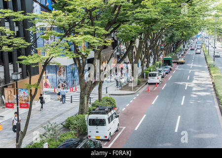 Vista generale di Omotesando,Tokyo Giappone Foto Stock