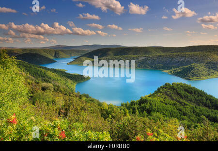 Paesaggio fluviale. Natioal park Krka in Croazia Foto Stock