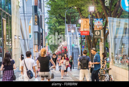 Vista generale di Omotesando,Tokyo Giappone Foto Stock