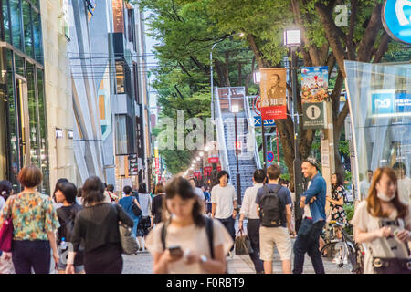 Vista generale di Omotesando,Tokyo Giappone Foto Stock