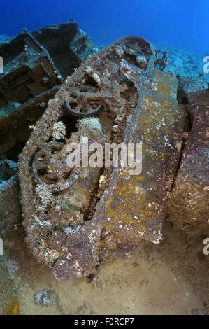 Mar Rosso, Egitto. 15 ottobre, 2014. I trasportatori cingolati Bren Carrier MK-1. Militari veicoli corazzati con abbandonata nel Mar Rosso durante la crisi theSuez del 1956 tra Israele ed Egitto. Mar Rosso a Sharm el-Sheikh, la penisola del Sinai, Egyp © Andrey Nekrasov/ZUMA filo/ZUMAPRESS.com/Alamy Live News Foto Stock