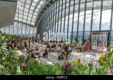 Lo Sky Garden, una galleria panoramica pubblica in cima a 20 Fenchurch Street, conosciuta anche come il Walkie Talkie Building, nella città di Londra, Regno Unito Foto Stock