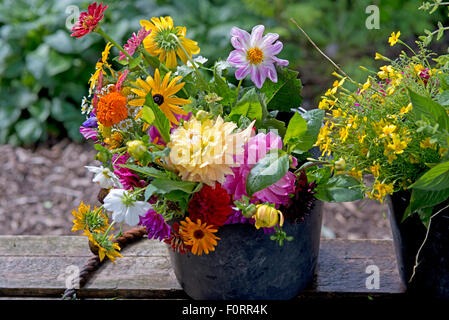 Giardino estivo bouquet nella benna, Paesi Bassi Foto Stock