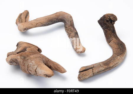 Mare driftwood isolati su sfondo bianco Foto Stock