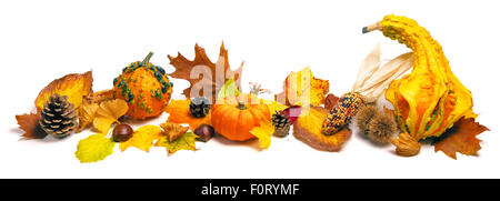 Autunno naturale decorazione disposta con foglie secche, zucche ornamentali, coni e più, studio isolato su bianco, formato wide Foto Stock
