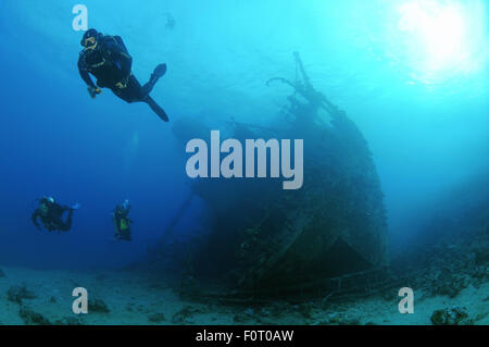 Mar Rosso, Egitto. 15 ottobre, 2014. Sommozzatore guardando wreckship Gianis D. Mare Rosso, Sharm El Sheikh, Egitto © Andrey Nekrasov/ZUMA filo/ZUMAPRESS.com/Alamy Live News Foto Stock