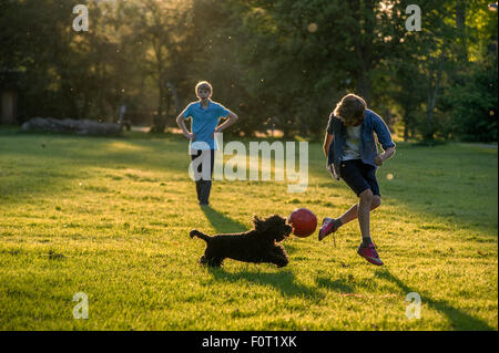 Due ragazzi giocare a calcio negli ultimi del sole estivo in un parco di Londra con il loro cane Foto Stock