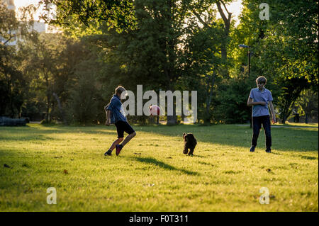 Due ragazzi giocare a calcio negli ultimi del sole estivo in un parco di Londra con il loro cane Foto Stock