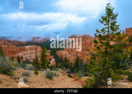 Bellissimo il Bryce Canyon coperto con le dense nubi Utah paesaggio Foto Stock