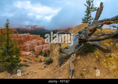 Bellissimo il Bryce Canyon coperto con le dense nubi Utah paesaggio Foto Stock