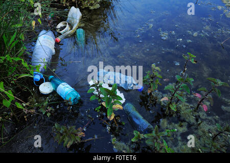 Rifiuti gettati in acqua, il delta del Danubio rewilding area, Romania Foto Stock