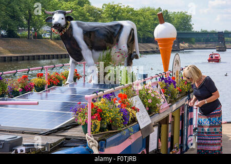 La piena Moo ice-cream barca sul fiume Ouse, città di York, England, Regno Unito Foto Stock