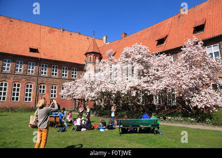 Blooming albero di Magnolia presso il municipio giardino, Lueneburg, Lüneburg, Bassa Sassonia, Germania, Europa Foto Stock