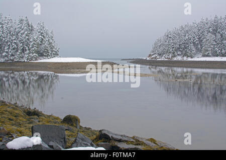 Oceano Atlantico al Parco Nazionale di Acadia, Maine. Foto Stock