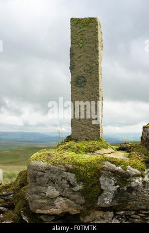 Il modo medievale-marker "Nappa Croce' vicino Malham, Yorkshire Dales National Park, England, Regno Unito Foto Stock
