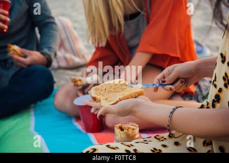 Gruppo di amici avente picnic sulla spiaggia, metà sezione Foto Stock