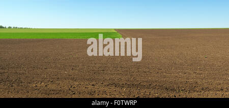 Campo Arato con aree verdi. panorama Foto Stock