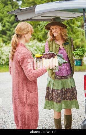 Caricamento delle donne appena raccolto ortaggi in per auto Foto Stock