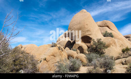 Cranio ROCK, Joshua Tree National Park, California, Stati Uniti d'America - circa 2013. Situato lungo la strada principale est-ovest park road, cranio Rock è un Foto Stock