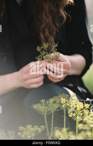 Una donna la raccolta di fiori selvatici. Foto Stock