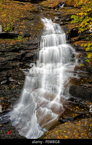 Cascate del Ricketts Glen State Park in Pennsylvania. Foto Stock