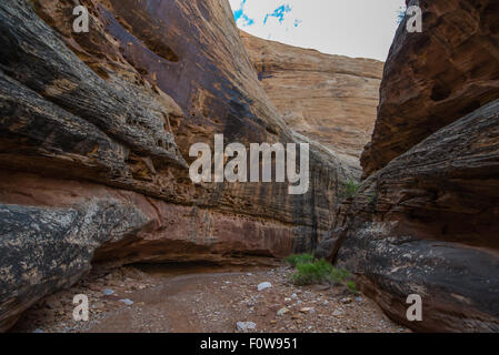 Grand lavare Waterpocket Fold nel Parco nazionale di Capitol Reef Foto Stock