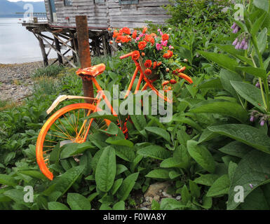 Un colorato bike visualizza un bouquet di ranuncoli arancio fiori, Tenakee Springs, Chichagof Island, a sud-est di Alaska, Tongas Foto Stock