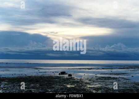 Acqua di mare si ritira nel pomeriggio. Migliaia di stelle marine, alghe, ricci di mare, conchiglie di mare, granchi e più sono gattona Foto Stock