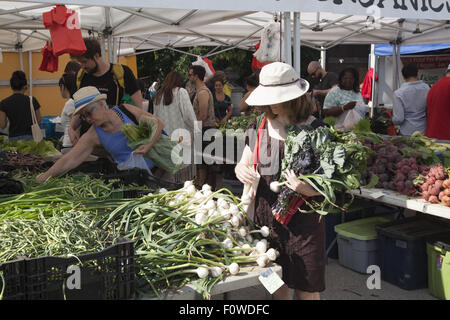 La gente acquista per un sano cibo fresco al Grand Army Plaza Farmers Market a Park Slope, Brooklyn, New York. Foto Stock