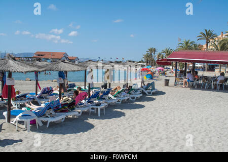 Lucertole da mare sulla spiaggia di Los Alcazares in Murcia, Spagna Foto Stock