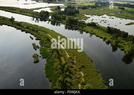 Fiume Peene e superfici inondate vicino Anklamer Stadtbruch, Anklam, Germania, Agosto 2014. Foto Stock