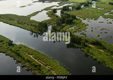 Fiume Peene e superfici inondate vicino Anklamer Stadtbruch, Anklam, Germania, Agosto 2014. Foto Stock