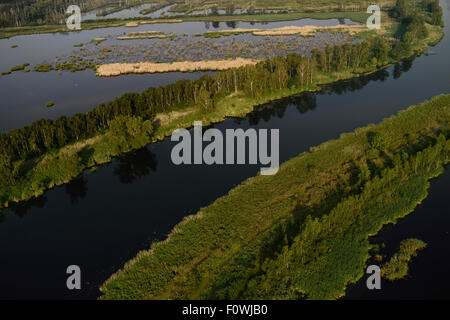 Fiume Peene e superfici inondate vicino Anklamer Stadtbruch, Anklam, Germania, Agosto 2014. Foto Stock